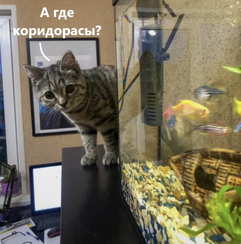 Изображение пользователя Филиппыч