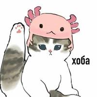 Feathery_Fox