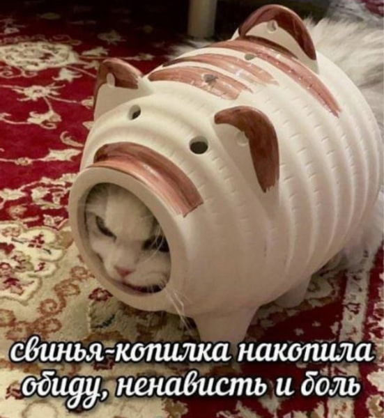 Госдиктант и акция «Тотальный диктант» соберут участников из 700 городов России и зарубежья
