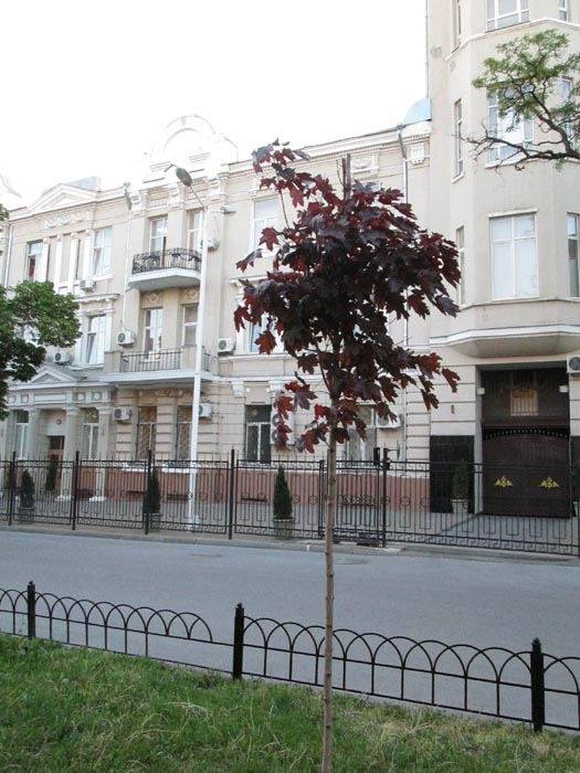Изображение пользователя Ольга Венцель