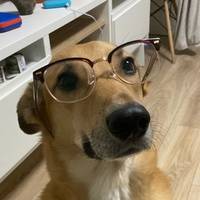Дмитрий Усов