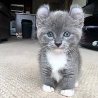 Зинаида Беркутова