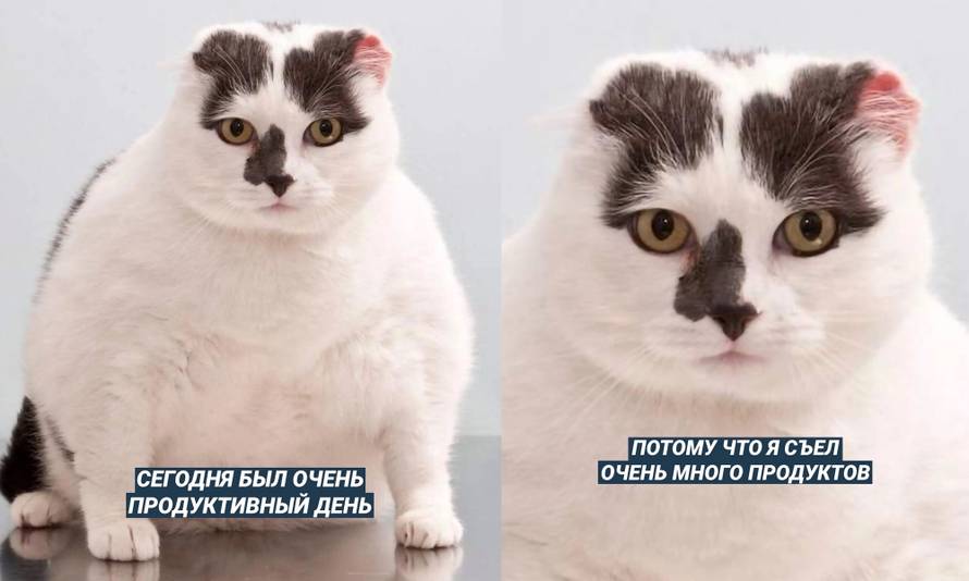 Изображение пользователя Милая девочка