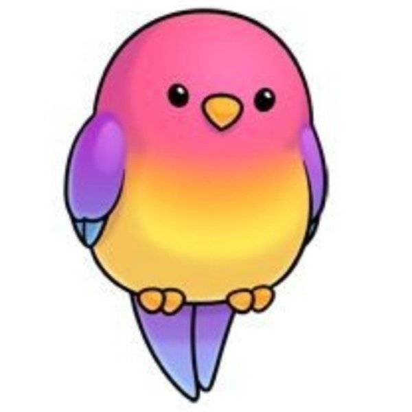 Птичка: Пользователь