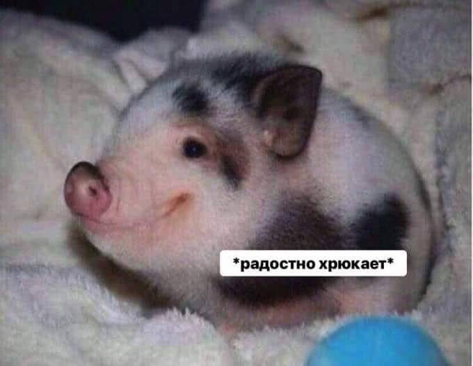 Изображение пользователя Филиппыч
