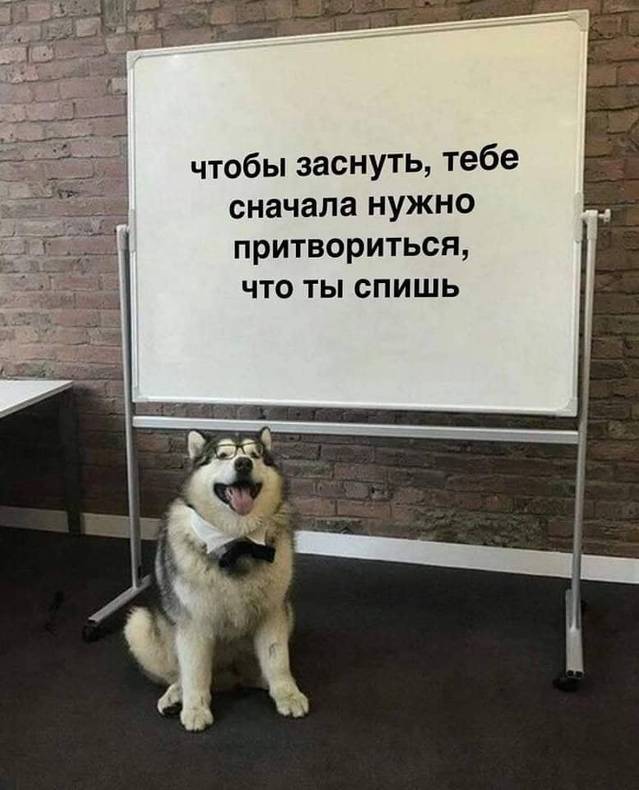 Изображение пользователя Филиппыч
