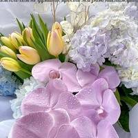 Ольга Рамшина