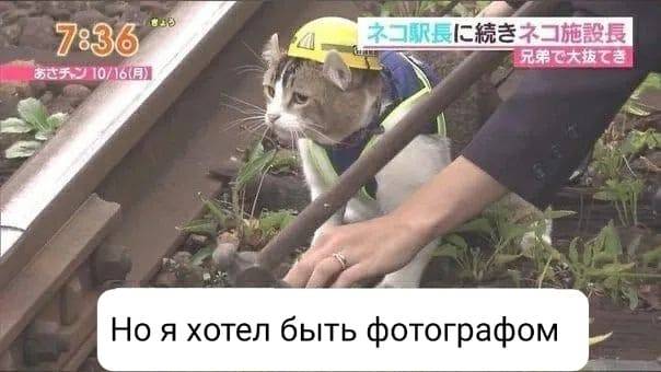 Изображение пользователя Филиппыч
