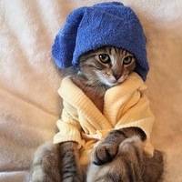 Эля Сычева