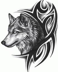 Dan Wolfchant