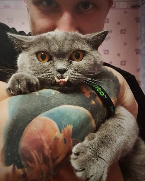 Сергей Сорокин