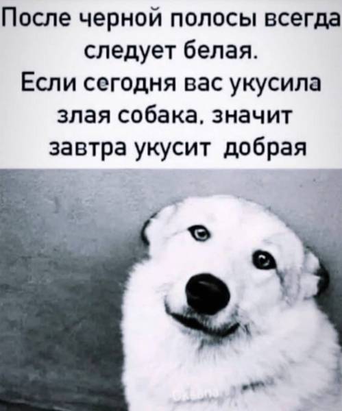 Метафоричный Суетолог