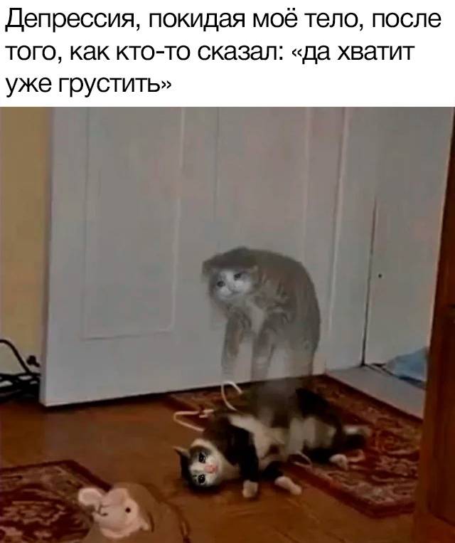 Изображение пользователя Meiv