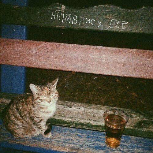 Кошкинс