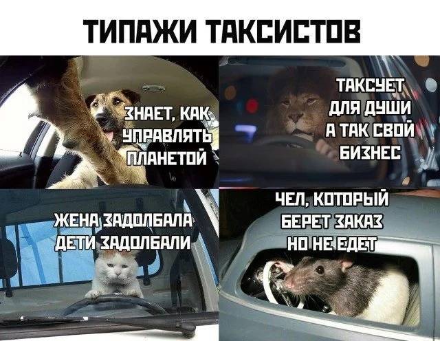 Изображение пользователя Филипп Кругликов