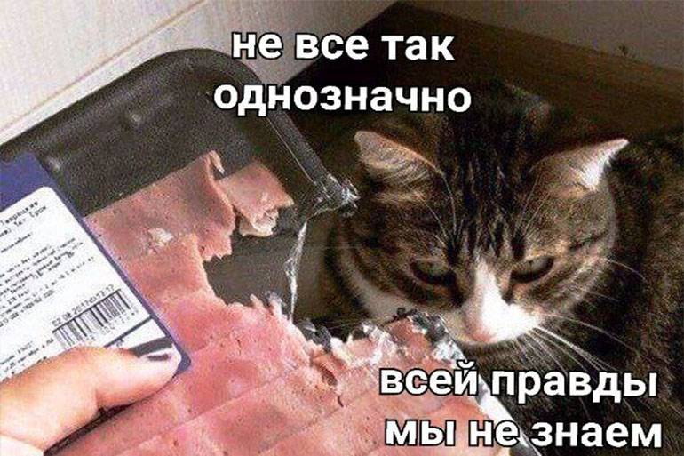 Изображение пользователя тьфунатебя ¯\_(ツ)_/¯