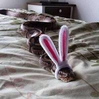 Оксана Ярец