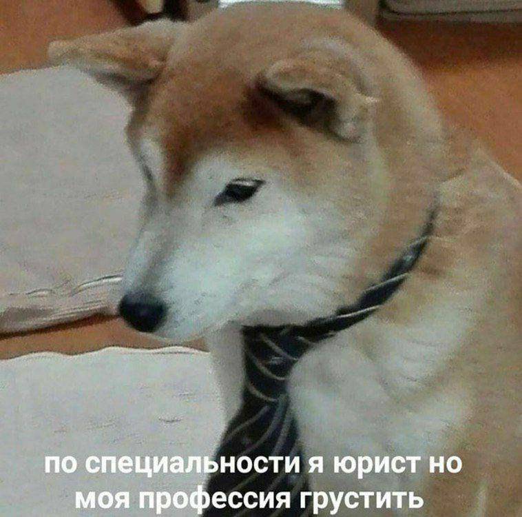 Изображение пользователя Максим Максимов
