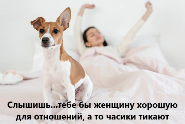 Изображение пользователя Филиппыч