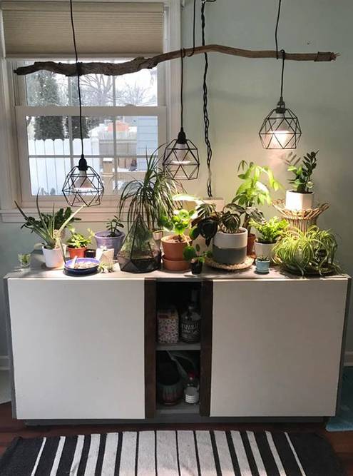 Точечными светильниками сложно осветить несколько растений, поэтому их подвешивают над каждым горшком. Источник: Teaching Preschoolers / Pinterest