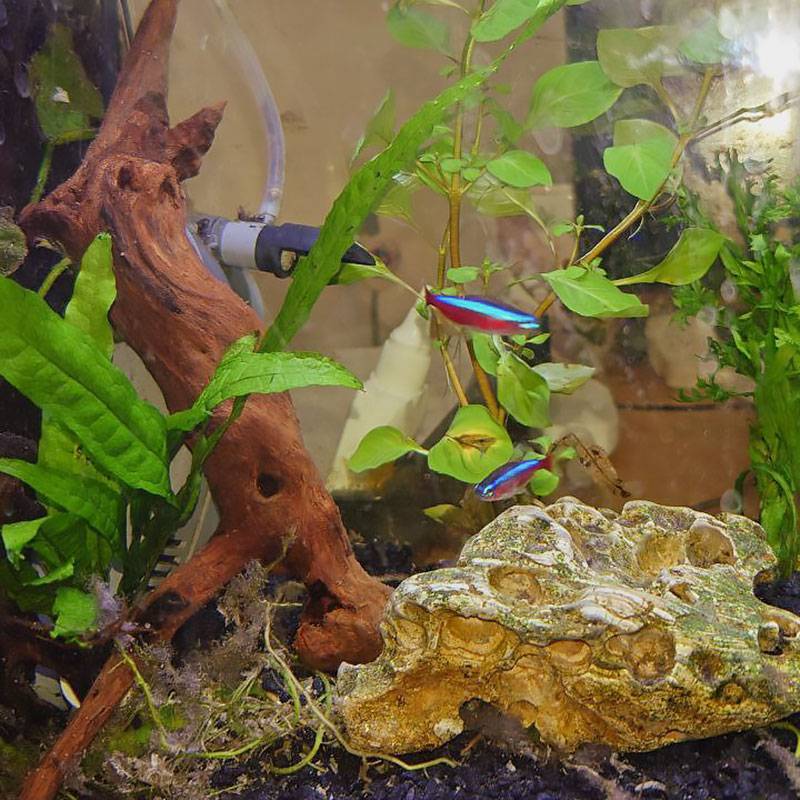 Как живет психиатр в Москве с зарплатой 220 000