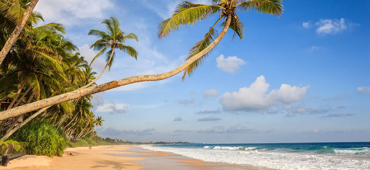 Шри-Ланка сняла все коронавирусные ограничения для туристов