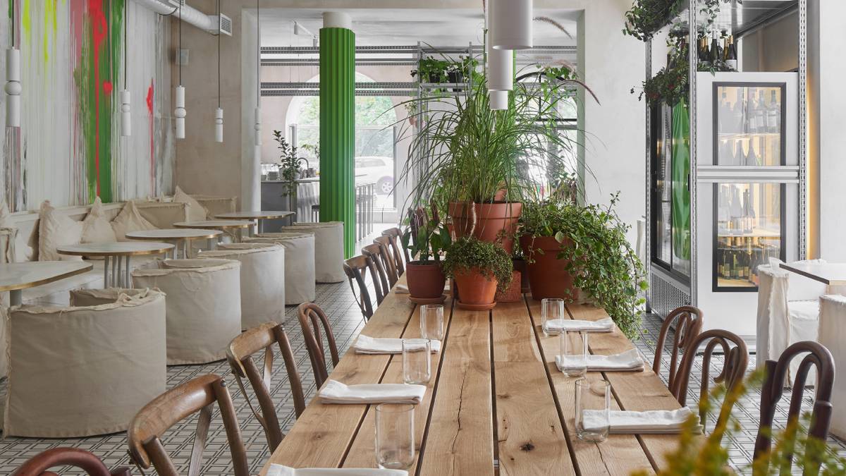 9 зеленых кафе в Петербурге с цветами и пальмами