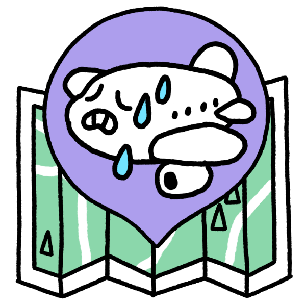 Аэрофобия: как не бояться летать на самолете