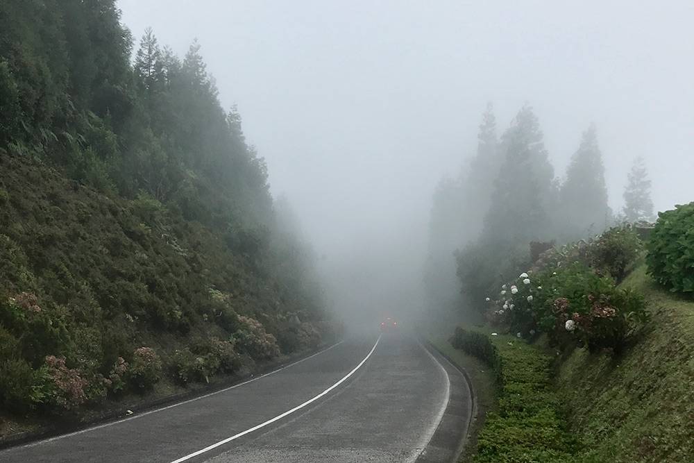 Когда туман, водители снижают скорость