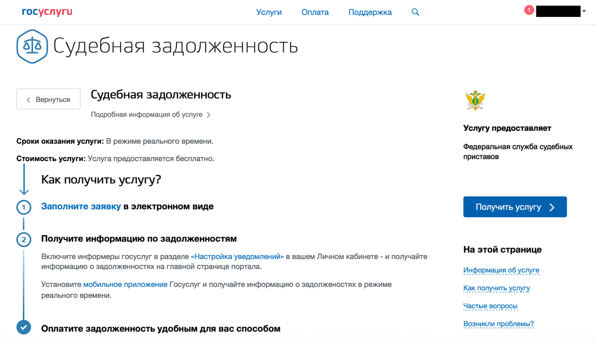 проверить задолженность у судебных. судебная задолженность. появилась судебная задолженность. судебная задолженность госуслуги. судебная задолженность на госуслугах.