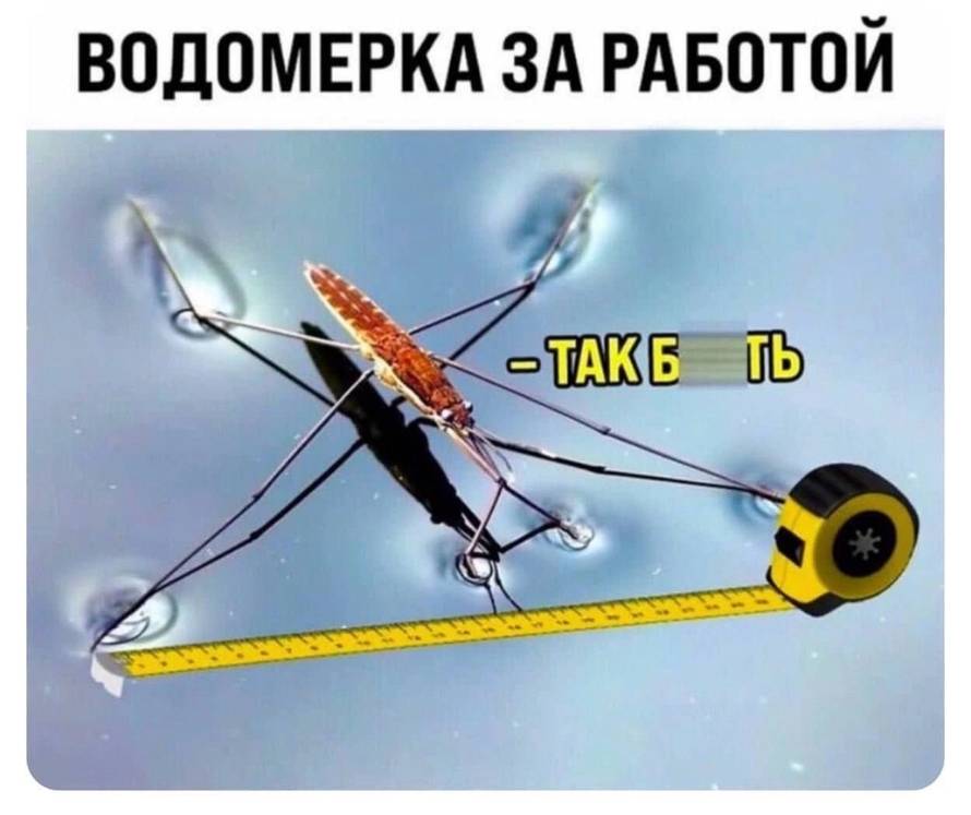 cDEuanBlZw