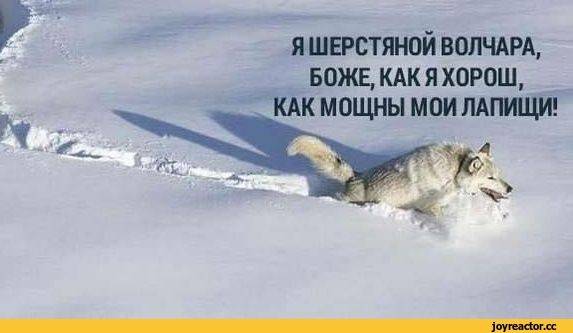 Изображение пользователя Jane