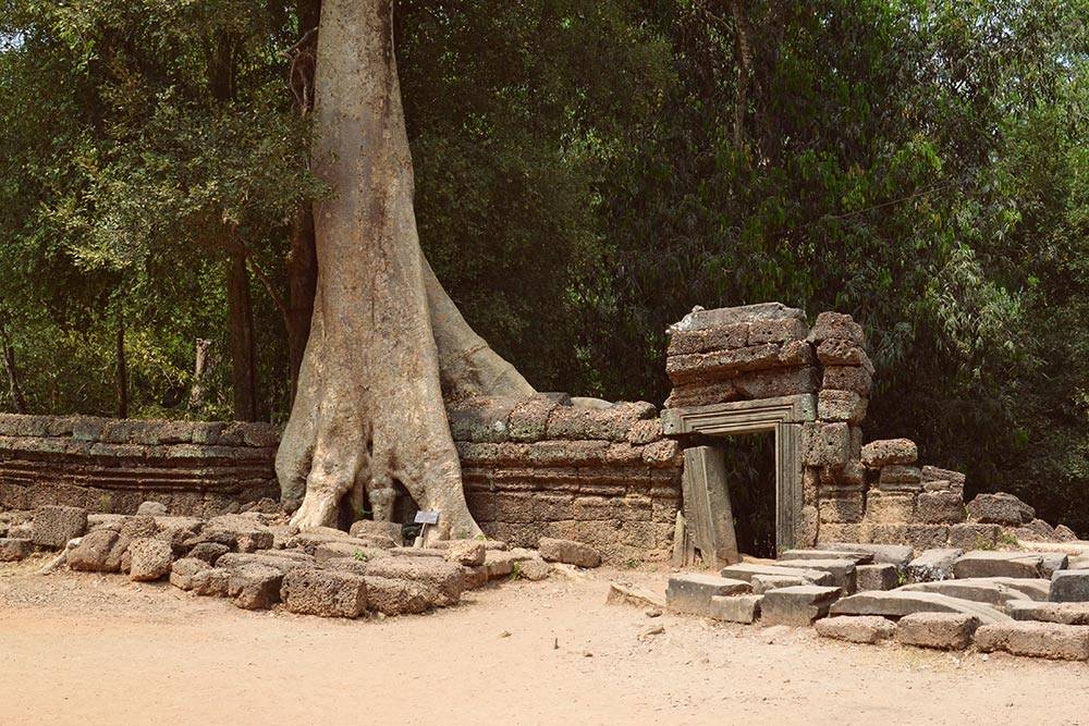 Удивительное сочетание тропической природы и древней кхмерской архитектуры