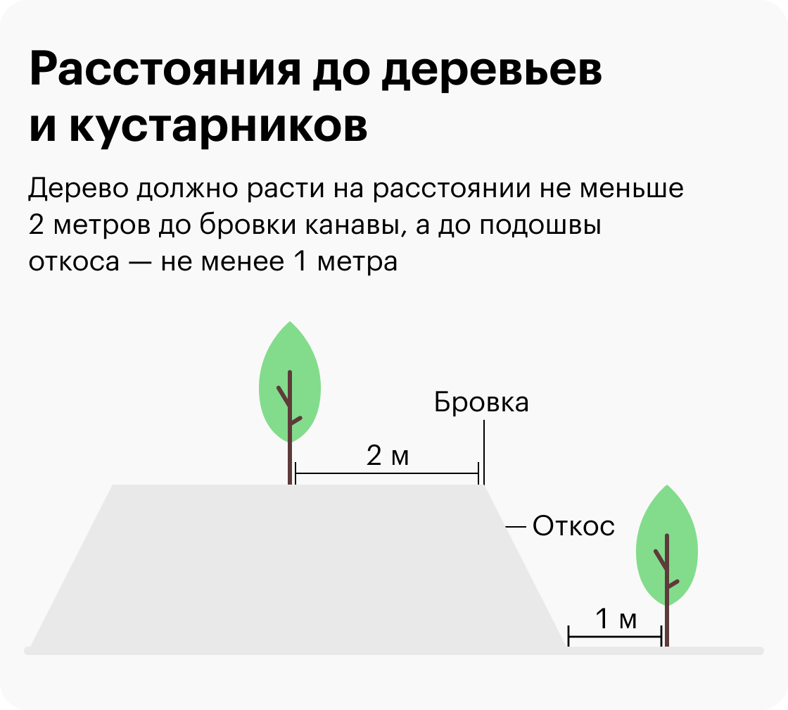 Расстояние дерева от дома в городе. Расстояние до деревьев. Расстояние от коммуникаций до деревьев и кустарников. Расстояние от канализации до дерева. Какое расстояние должно быть от дерево до дерево.