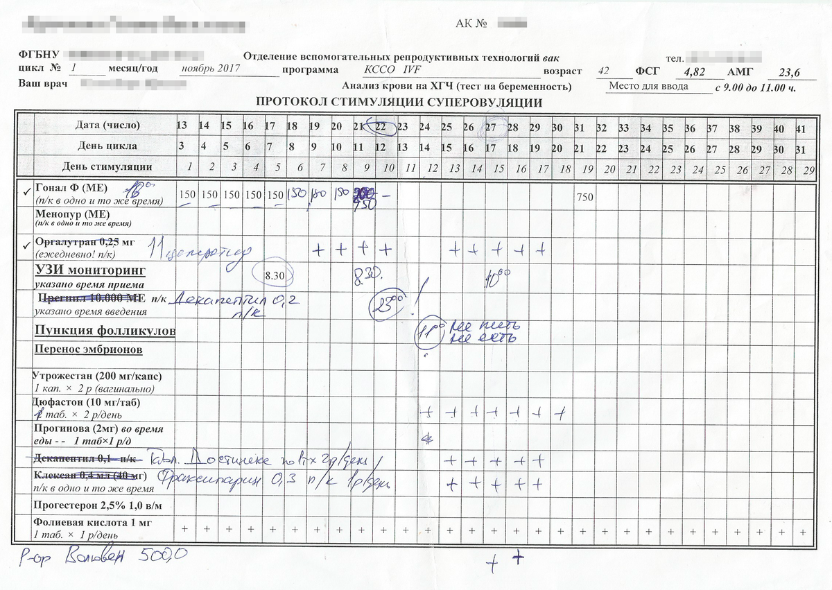 Схема стимуляции овуляции при эко