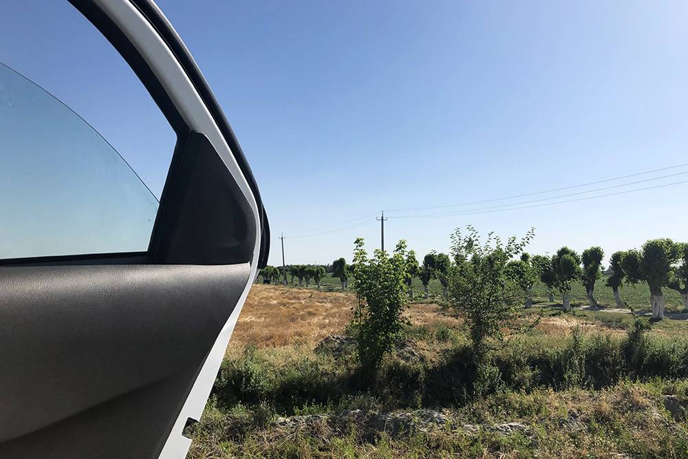 По&nbsp;пути из&nbsp;Ургенча в&nbsp;Ташкент были большие поля и&nbsp;фруктовые сады