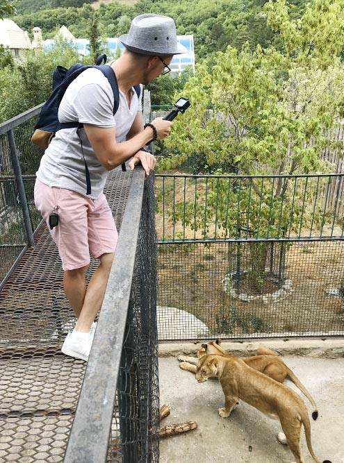 В зоопарке мы прошли по Адреналиновому мосту над&nbsp;клеткой со львами. Мне показалось, они бы легко до него допрыгнули, но, видимо, их хорошо кормят, поэтому они просто наблюдали за туристами