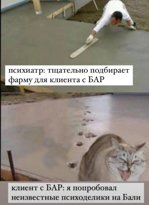 Изображение пользователя Kikimora