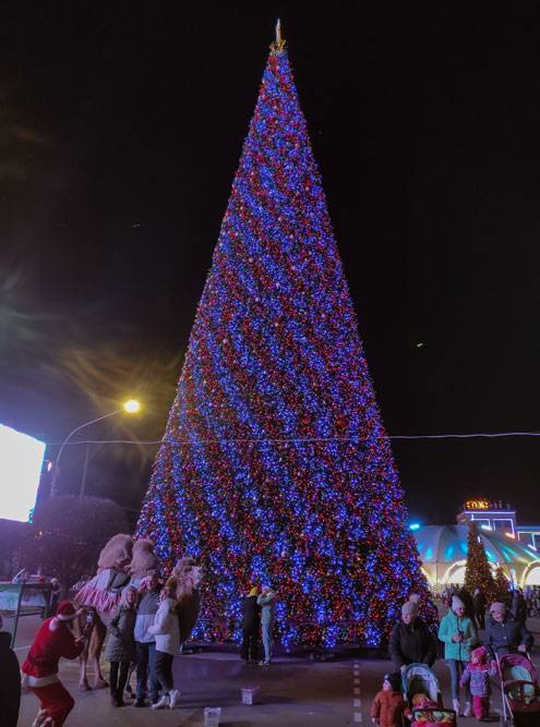 Главная елка и верблюд — ничего необычного, ага