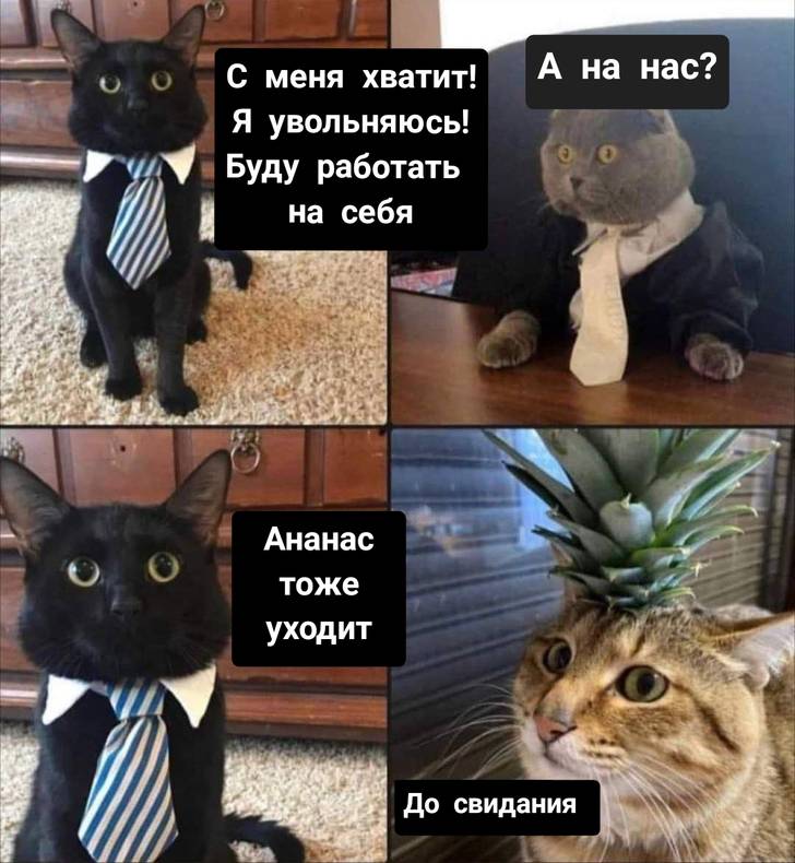 Изображение пользователя Филиппыч