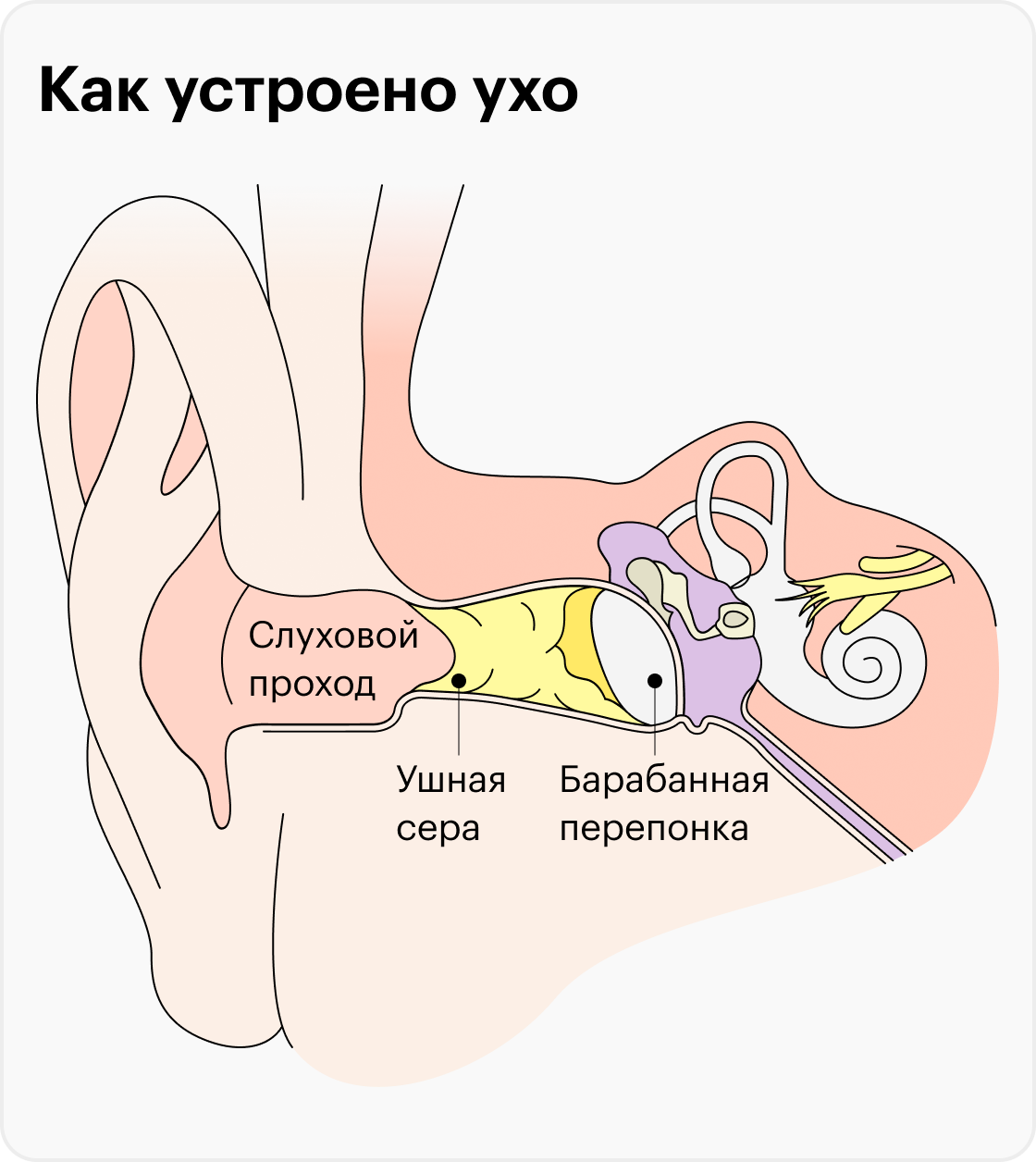 почему после оргазма уши закладывает уши фото 12