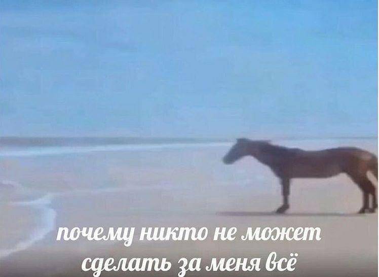 Изображение пользователя Винсент