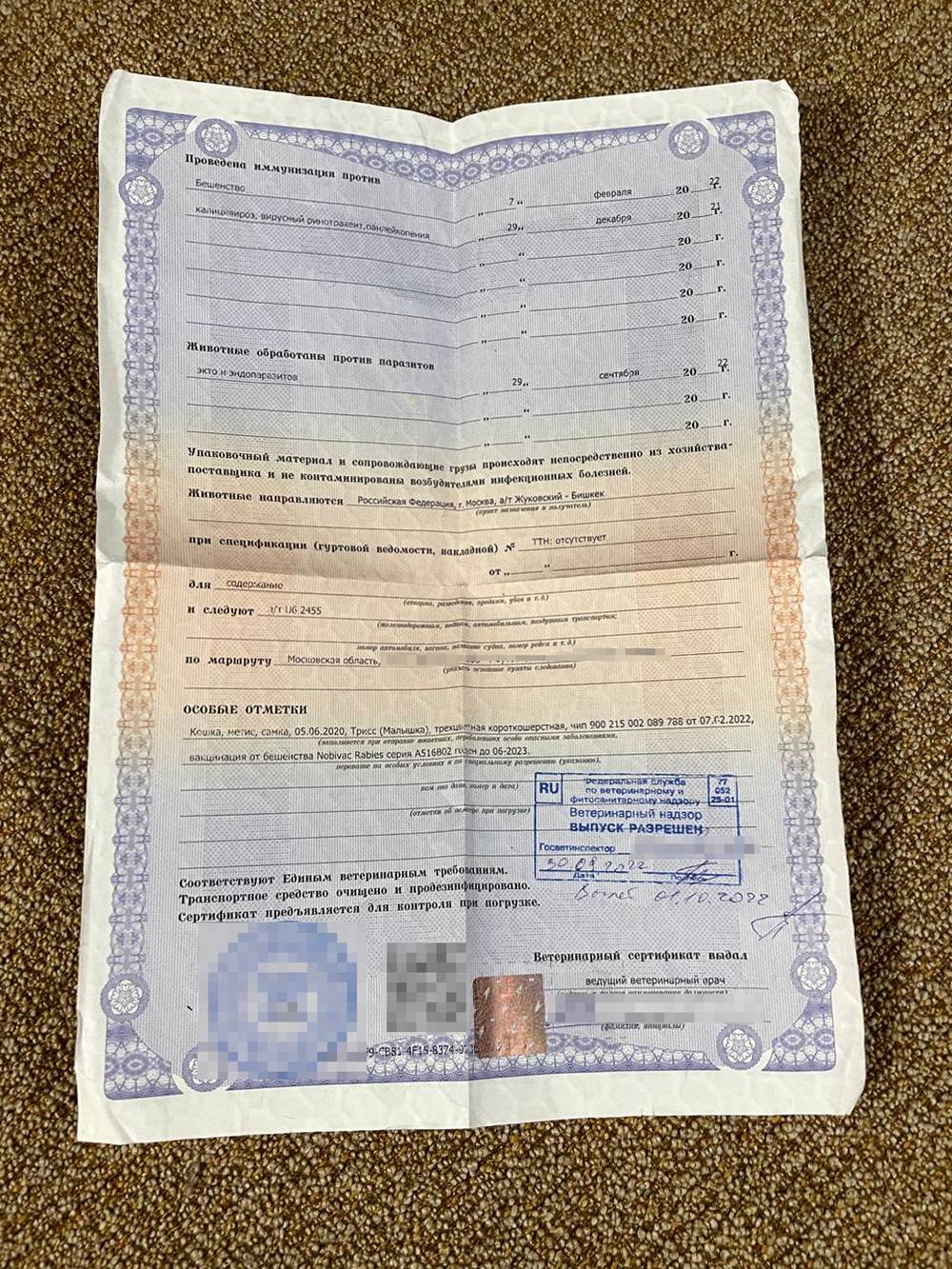 Также там указали данные про&nbsp;все прививки, микрочип и обработку от гельминтов