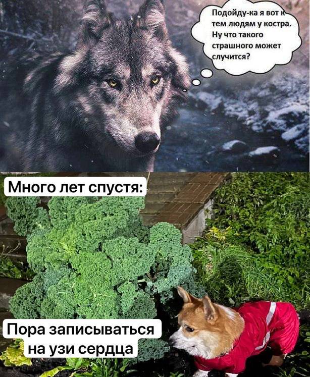 Изображение пользователя Мушу