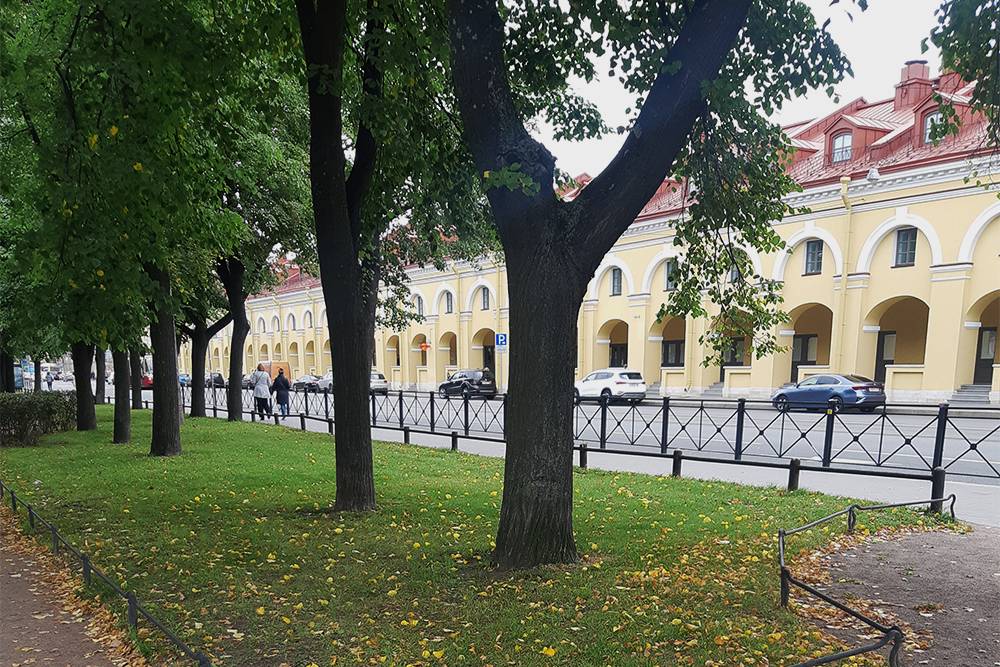 Стационар находится в центре города, недалеко от Сенной площади. Во время пандемии туда я ездила на такси, а возвращалась пешком. Называла это «лечебной прогулкой», потому&nbsp;что помогало отвлечься