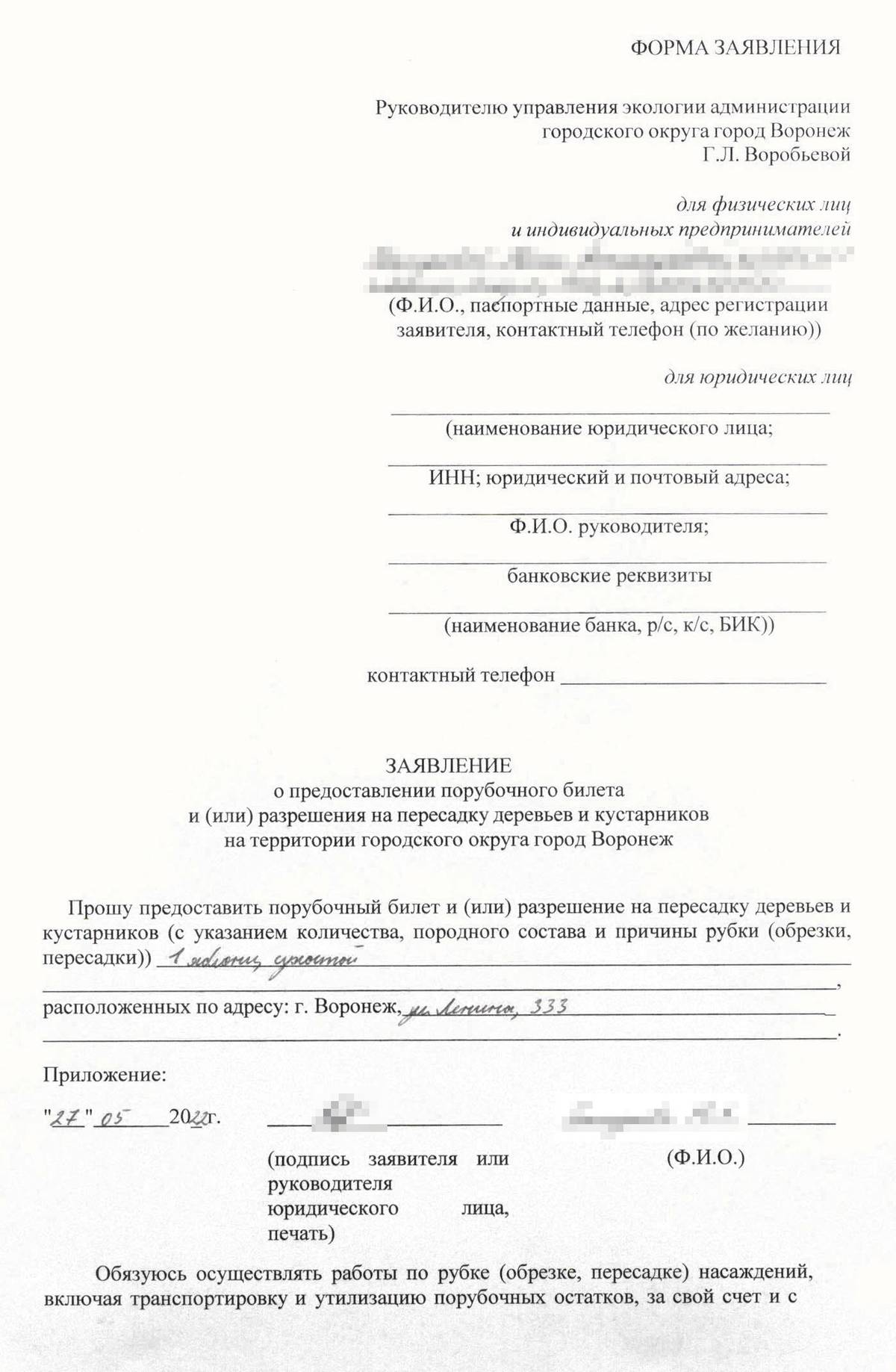Место перед домом до забора