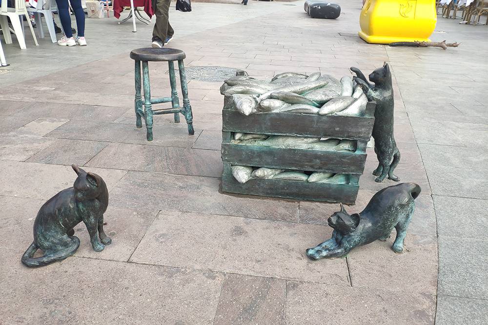 Хитрые коты в Кушадасы воруют рыбу