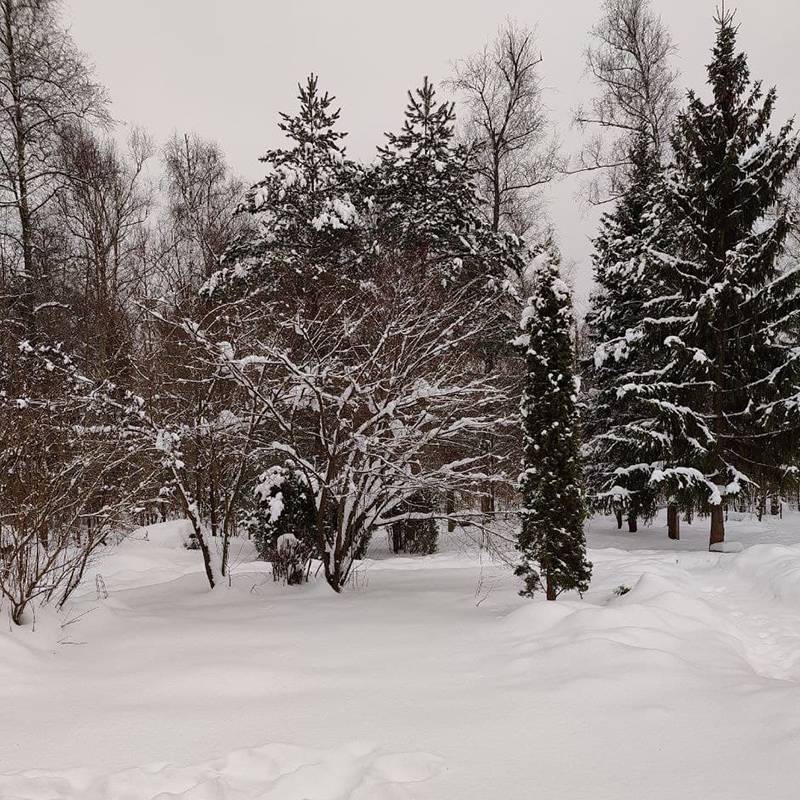 Снег в этом году просто бесконечный — никакого абонемента в спортзал не нужно