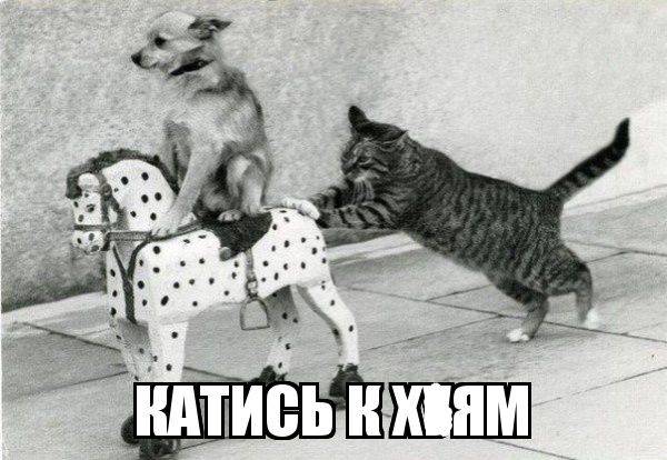 Изображение пользователя Филиппыч