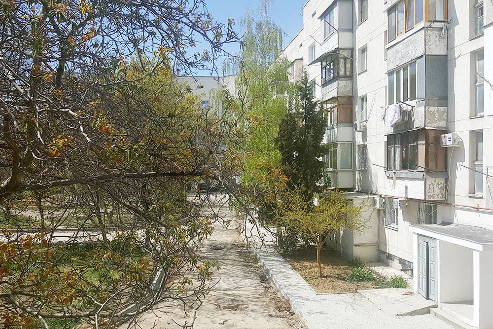 Мой дом. Двухкомнатная квартира здесь будет стоить минимум 4 млн&nbsp;рублей